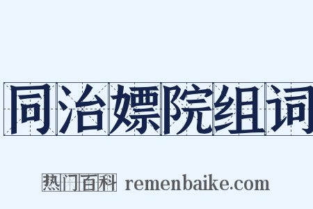 同治嫖院组词是什么意思的图片